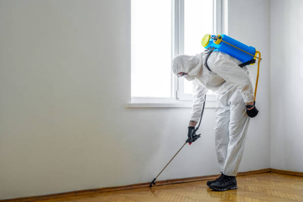 Professional Pest Control in Gervais, OR