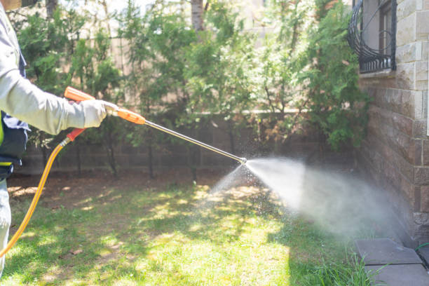 Best Affordable Pest Control Services  in Gervais, OR