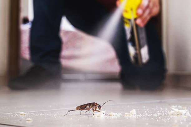 Best Wasp Removal Services  in Gervais, OR